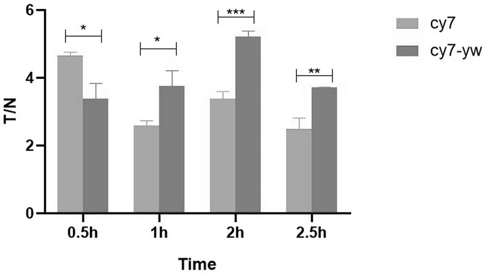 Tumor-targeting polypeptide probe and application of probe