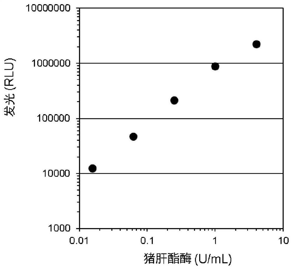 Dioxetane compounds and their use for the detection of microorganisms