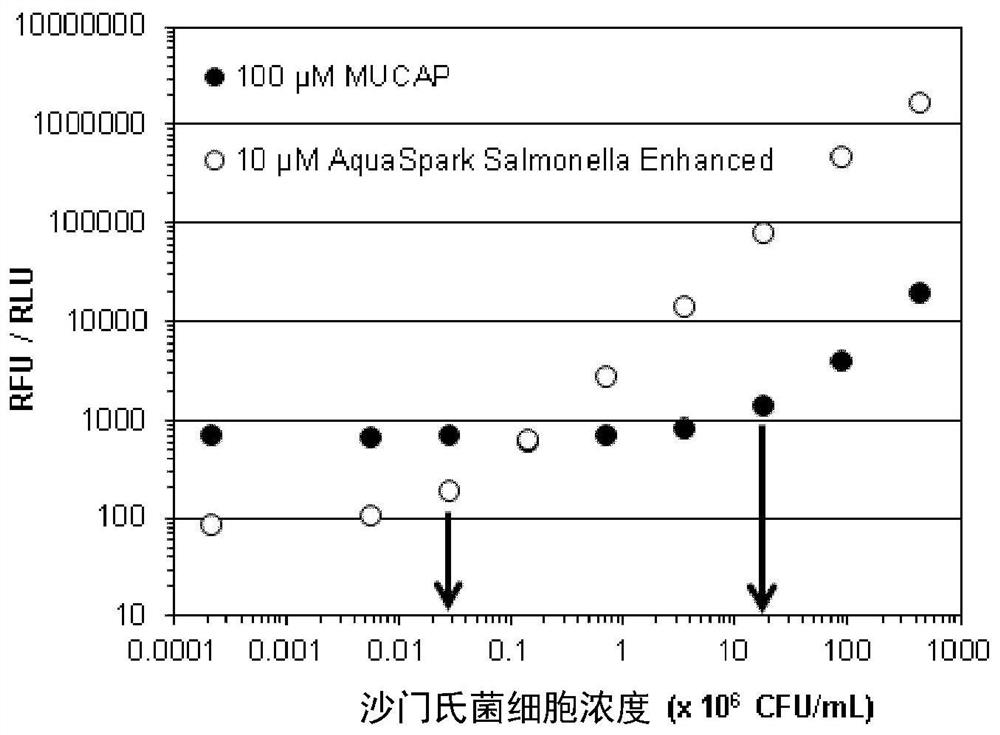 Dioxetane compounds and their use for the detection of microorganisms