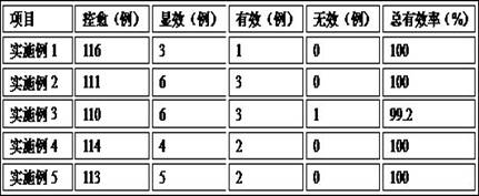 Traditional Chinese medicine gauze for rapid healing of burn and scald wounds and preparation method thereof