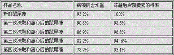 Pretreatment method of brown alga samples for fucoxanthin extraction