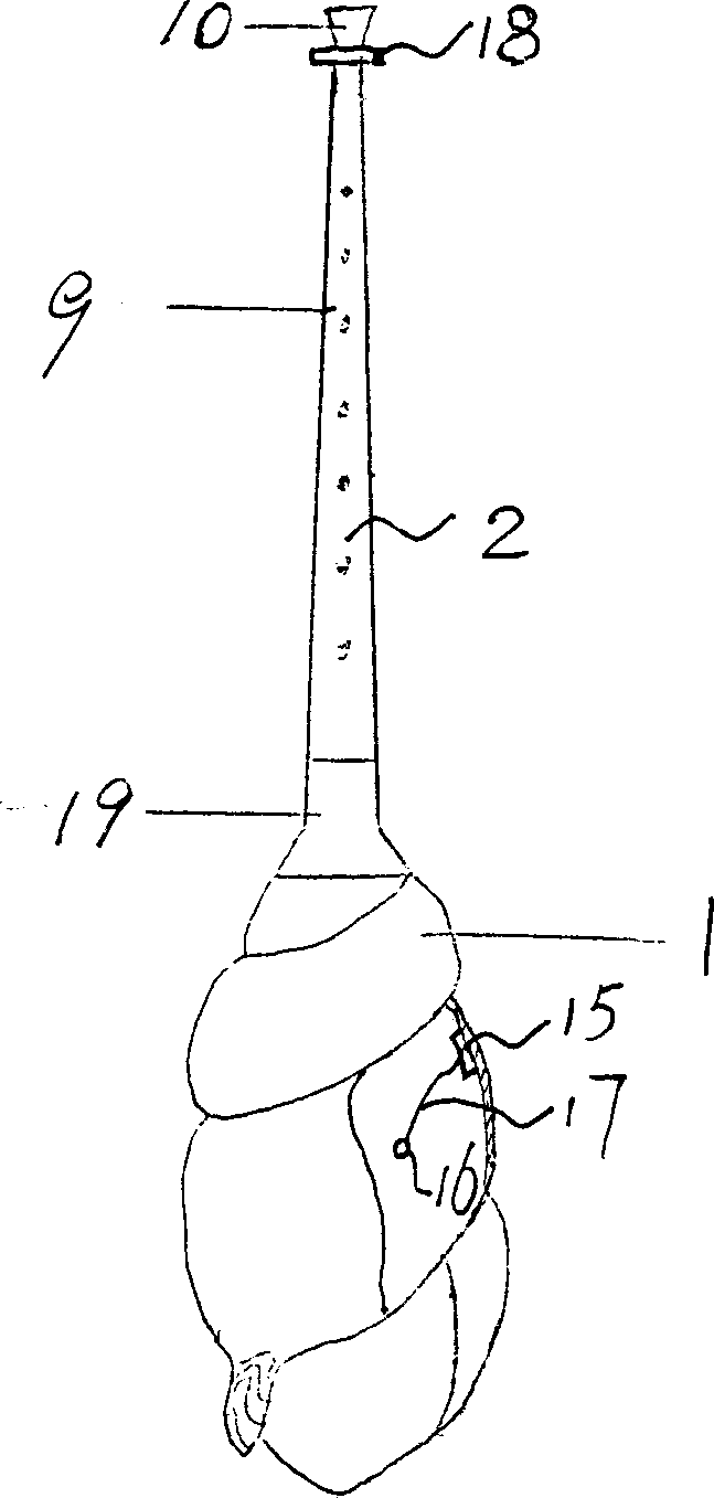 Music instrument made up of marine biota shells