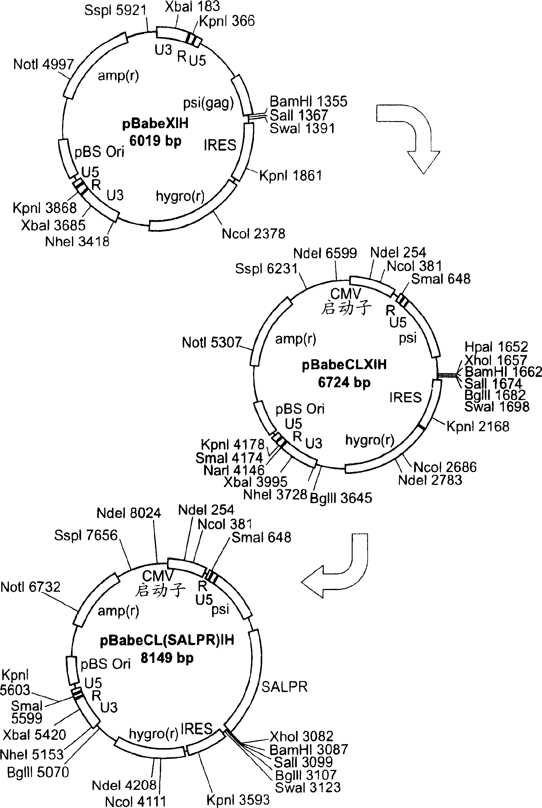 Screening method