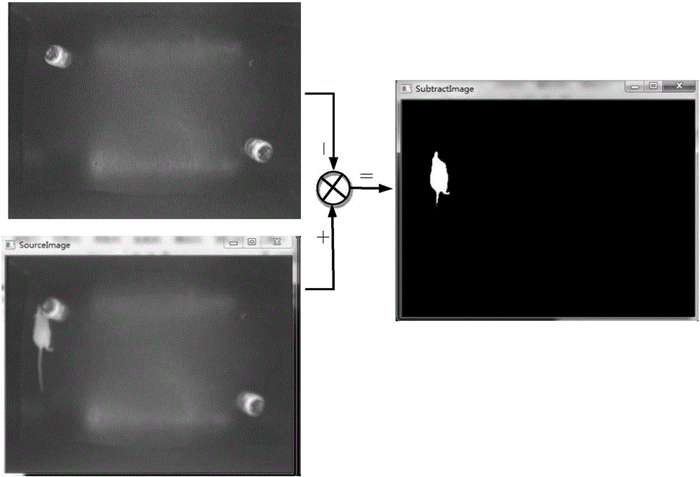 Machine vision-based mouse exploration identification method