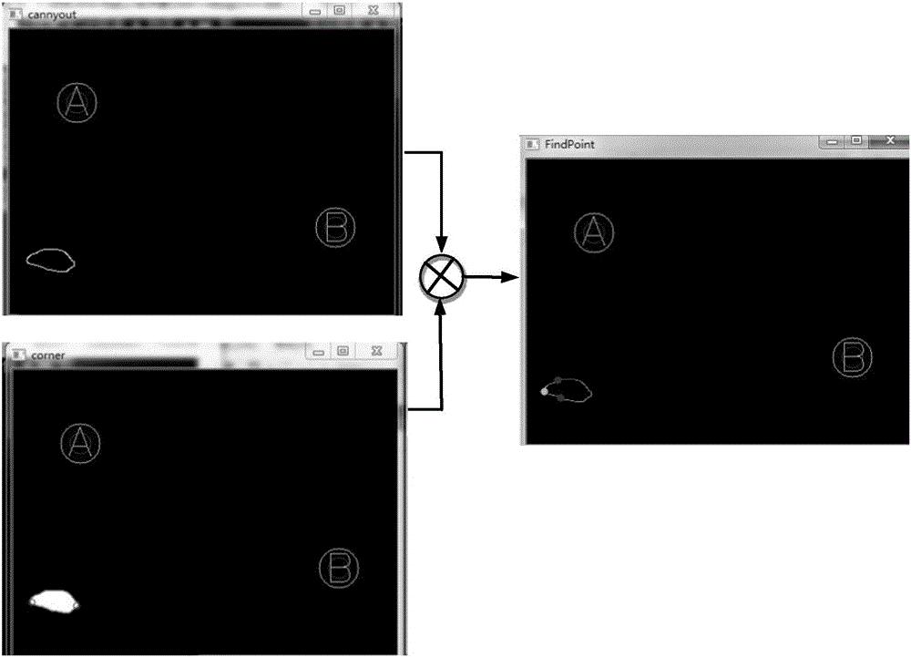 Machine vision-based mouse exploration identification method