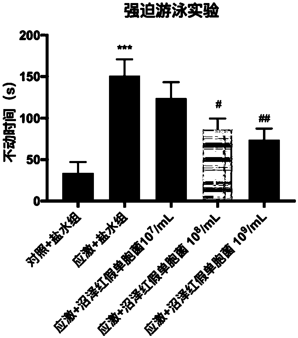 A biological preparation for preventing and treating mental disorder based on photosynthetic bacteria and application thereof