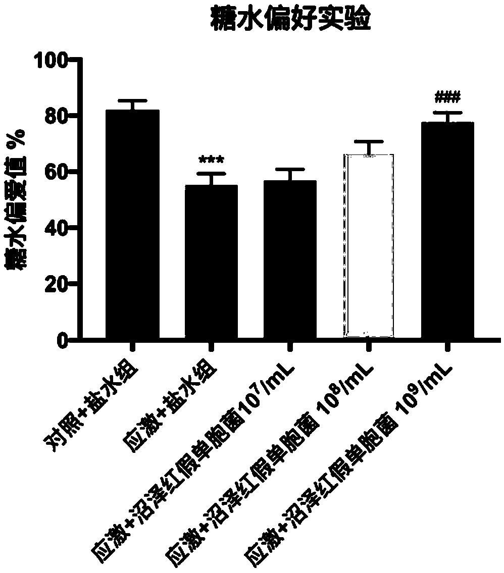 A biological preparation for preventing and treating mental disorder based on photosynthetic bacteria and application thereof