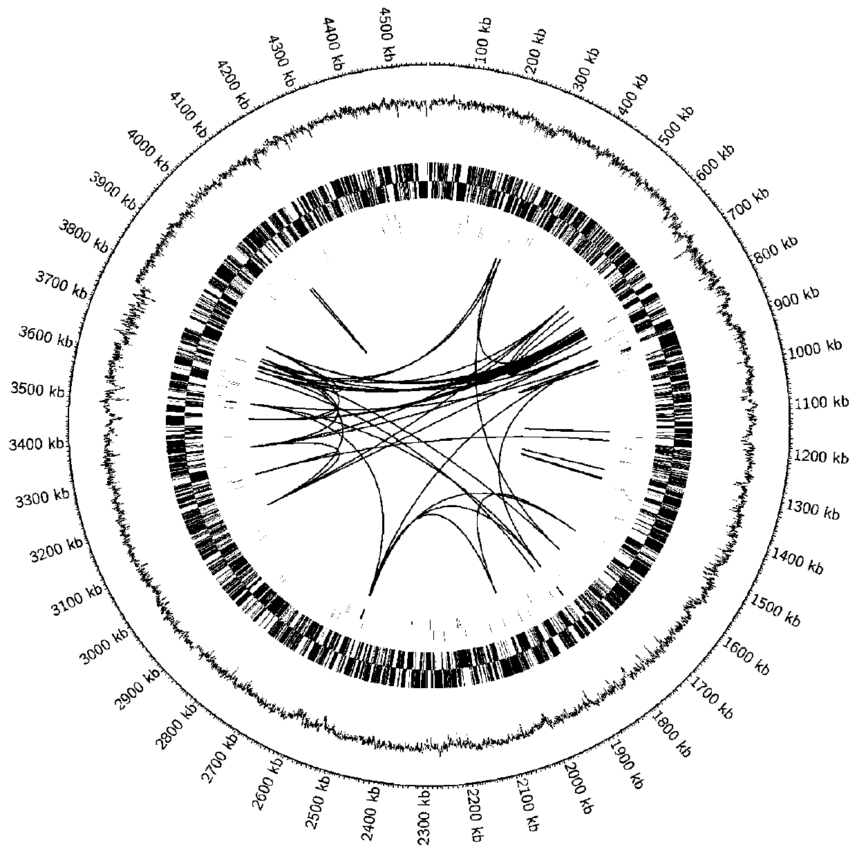 Pseudomonas stutzeri and application thereof