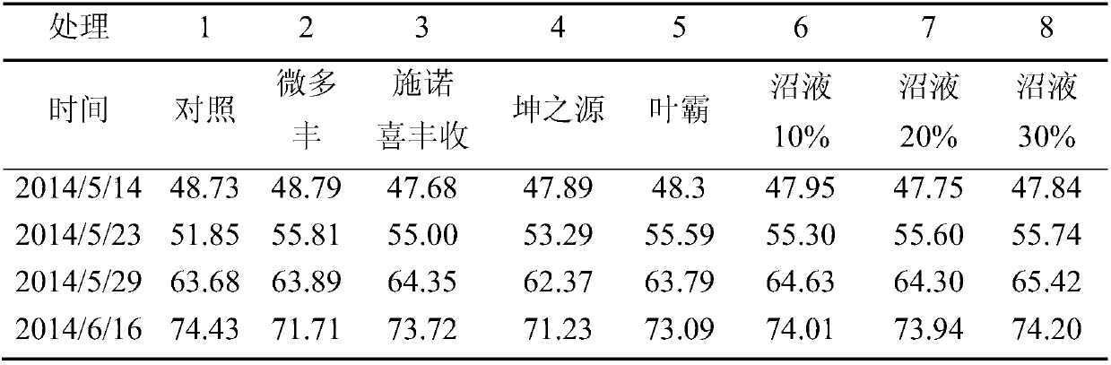 Method for correcting yellow leaves of citrus spring shoots