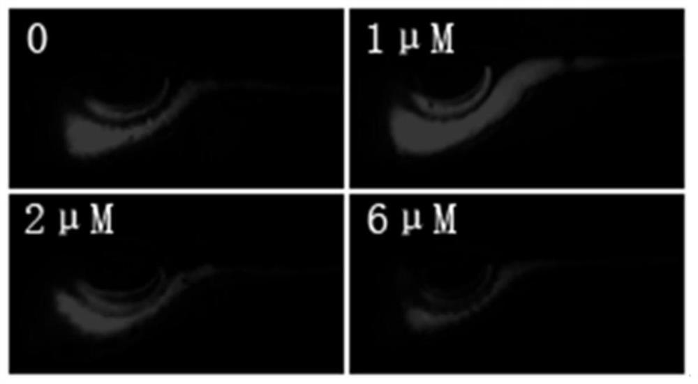 Application of bibenzyl compounds in the preparation of drugs for promoting gastrointestinal motility