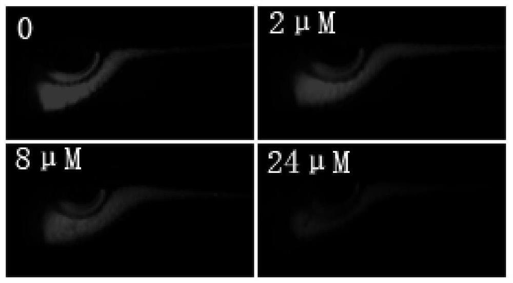 Application of bibenzyl compounds in the preparation of drugs for promoting gastrointestinal motility