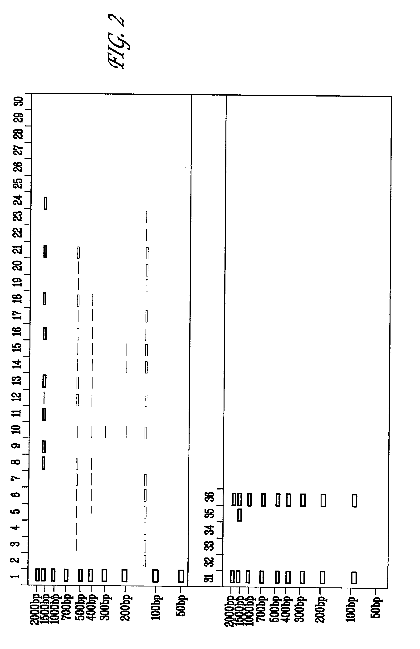 Method of reducing non-specific amplification in PCR