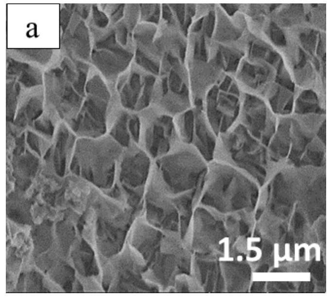 A kind of pd/nial metal oxide film electrode and its preparation method and application