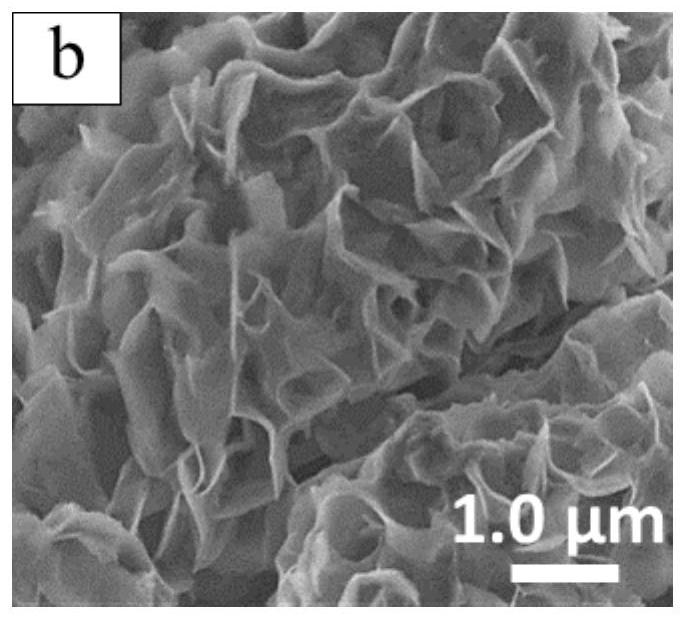 A kind of pd/nial metal oxide film electrode and its preparation method and application