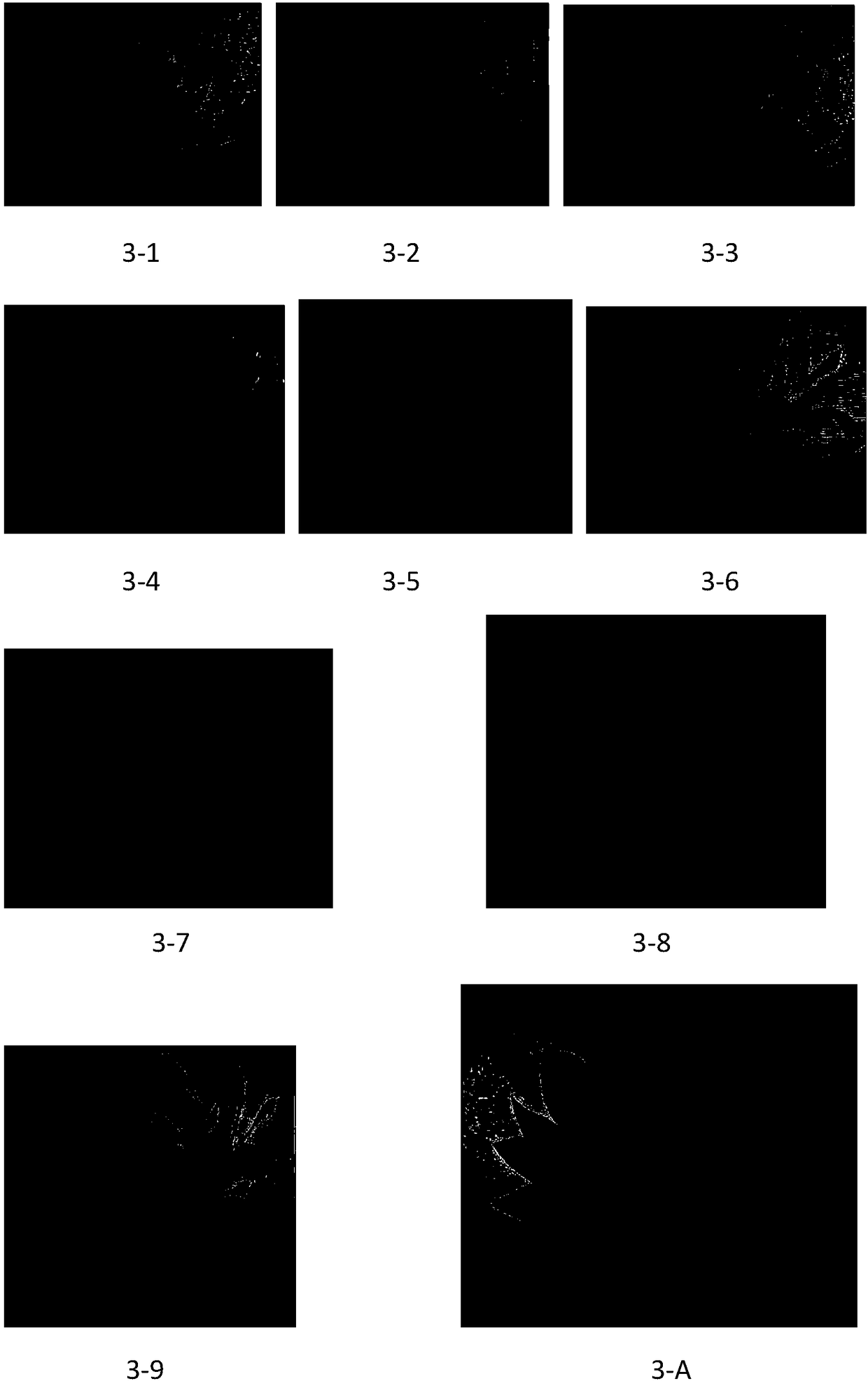 Machine double-sided embroidering method