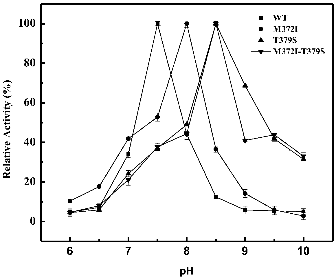 High enzyme activity aspartokinase mutant, engineering bacterial strain and preparation method of mutant