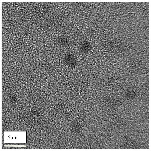 Lactoferritin-modified gold-bismuth selenide quantum dot material as well as preparation method and application thereof