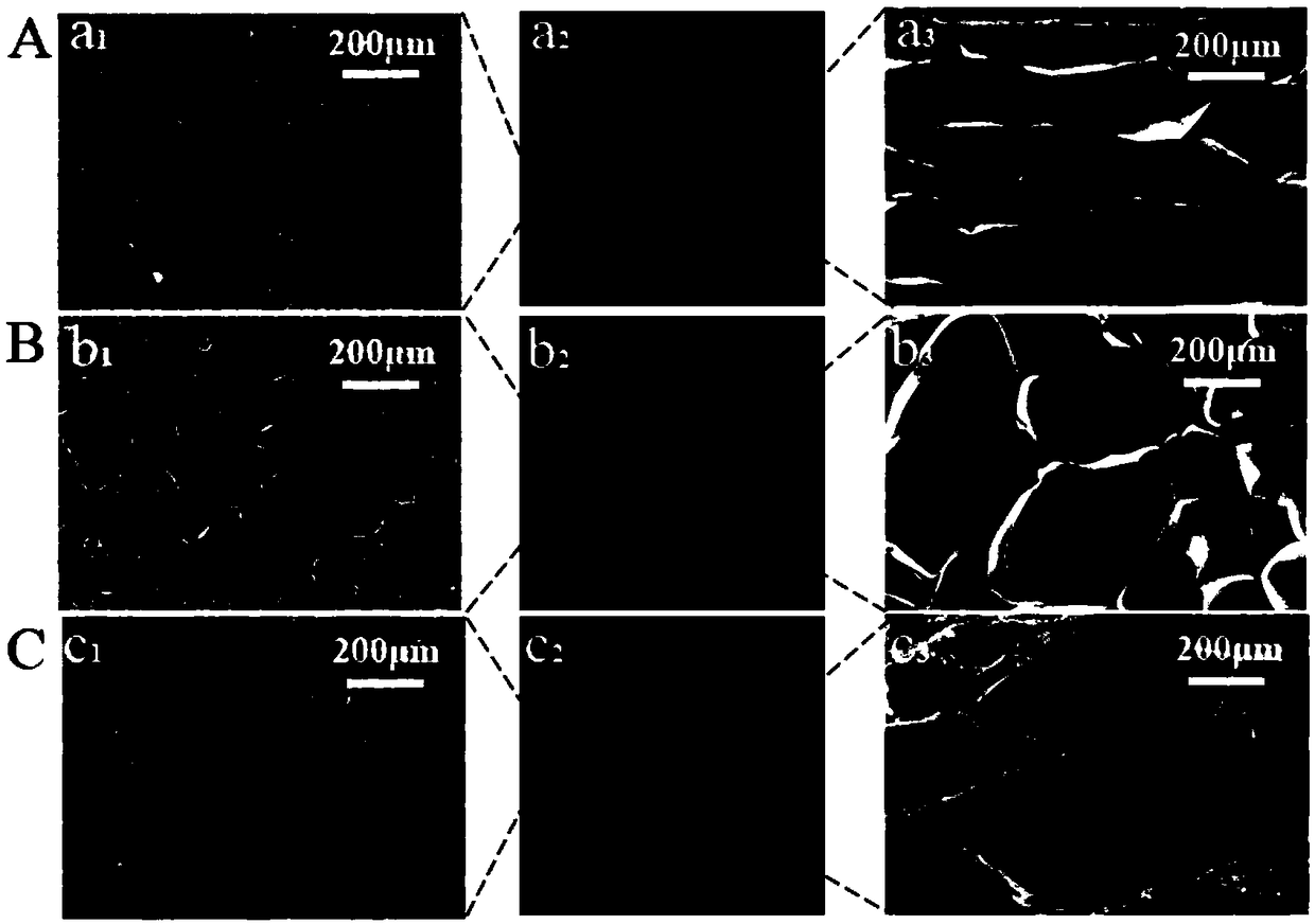 Preparation method for natural basin-based bionic structure bone scaffold