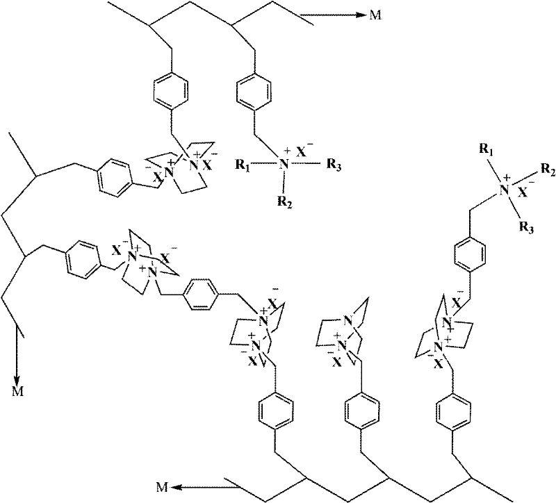 Multi-quaternary ammonium salt type anion exchange membrane and preparation method thereof