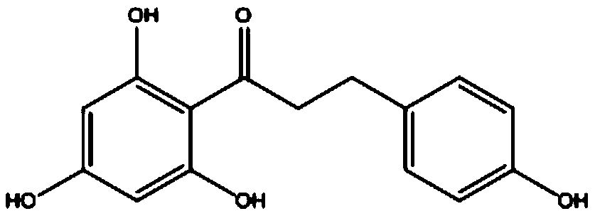 Thermosensitive gel preparation of phloretin, and preparation method and application thereof