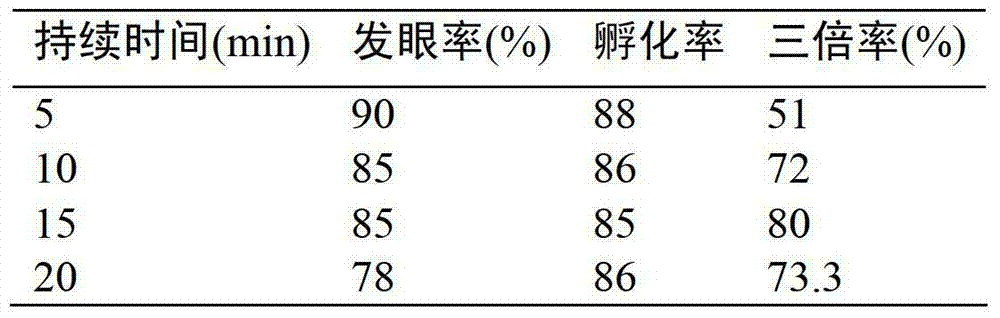 Production method of Oncorhynchus Mykiss triploid fry