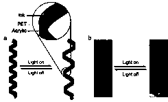 Spiral photothermal drive film and soft-body crawling robot based on the same