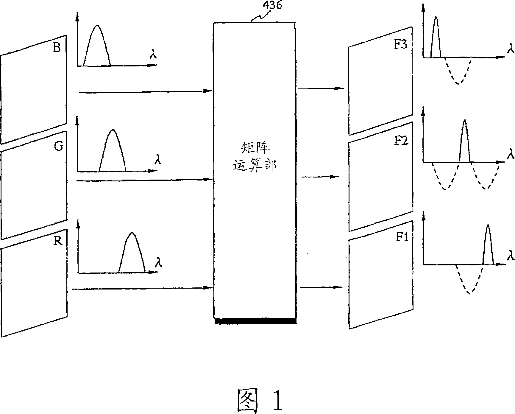 Biological observation apparatus