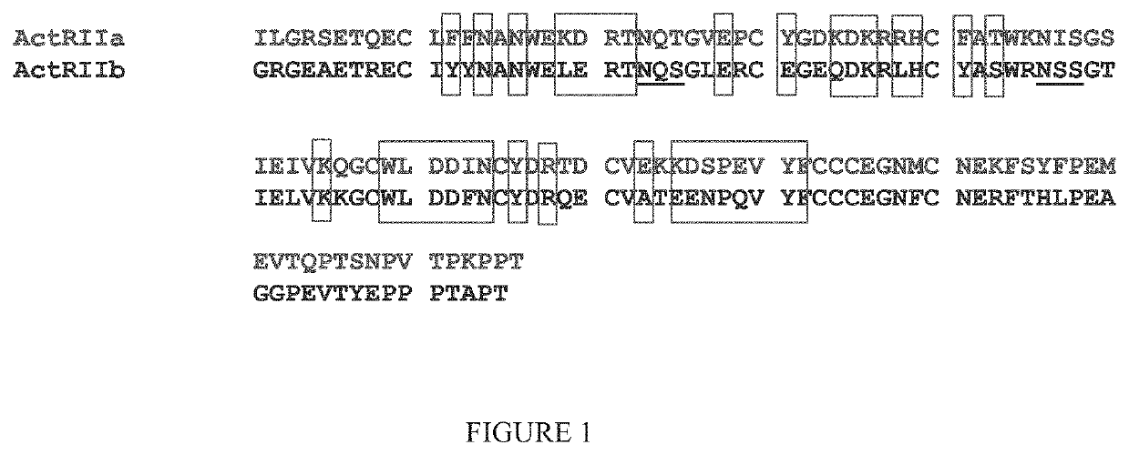 Methods for increasing red blood cell levels and treating ineffective erythropoiesis