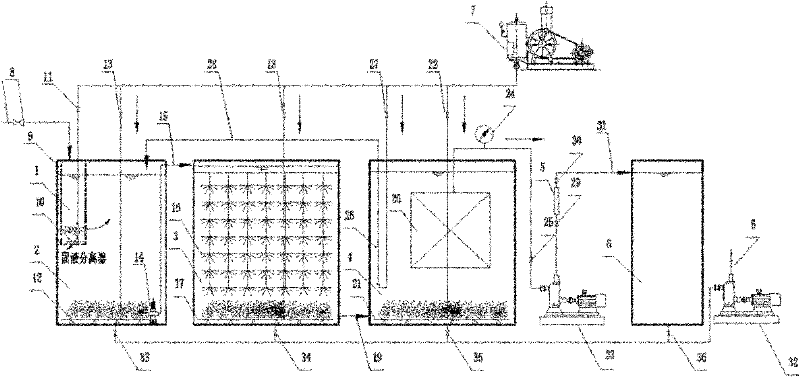 Advanced treating device and treating method of salty domestic sewage in ships