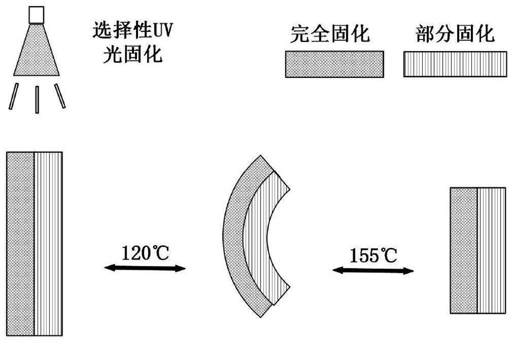 4D printing method for controlling deformation of liquid crystal elastomer material