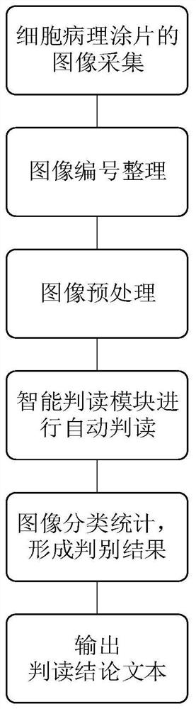 Automatic interpretation system for cell pathology smear