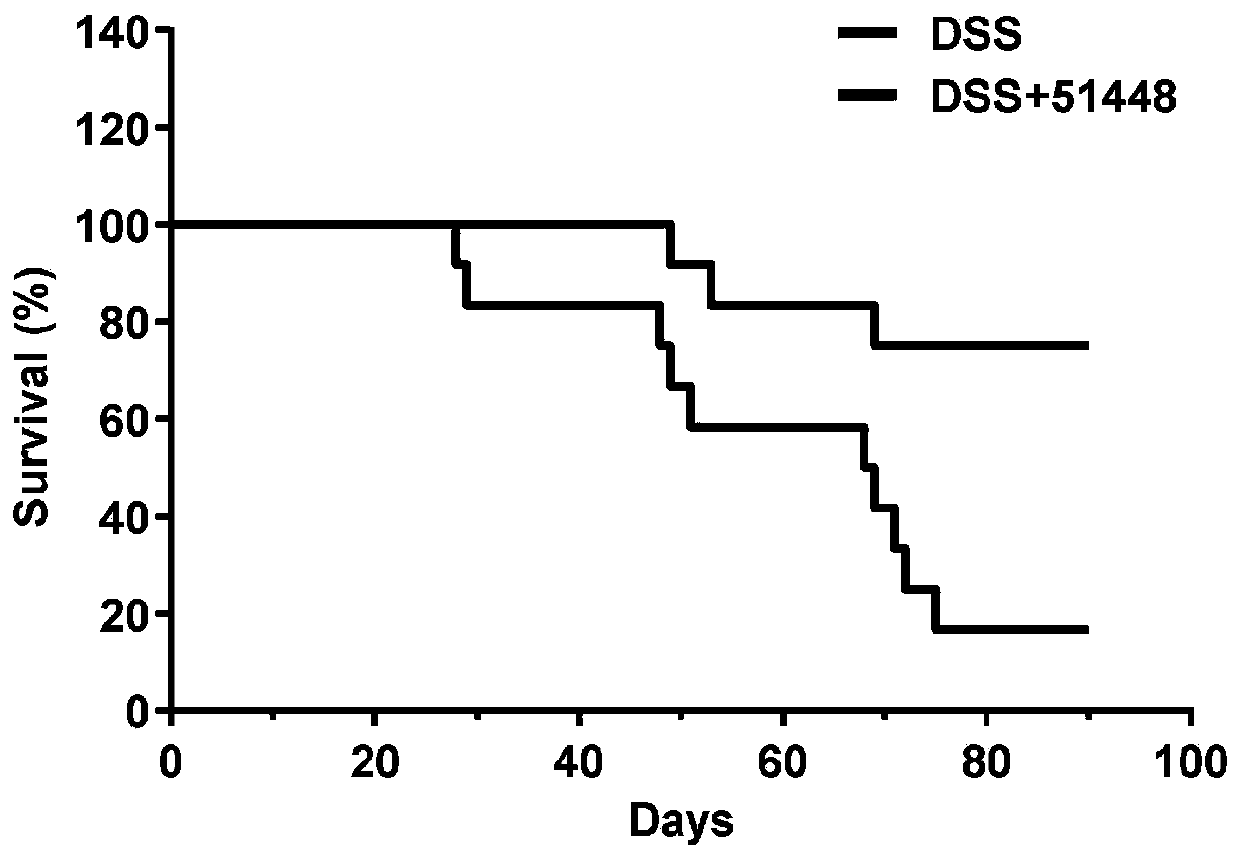 Microanaerobic bacteria and application thereof for treating colonic inflammation