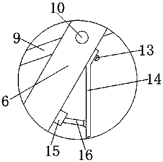 Garden tree irrigation device