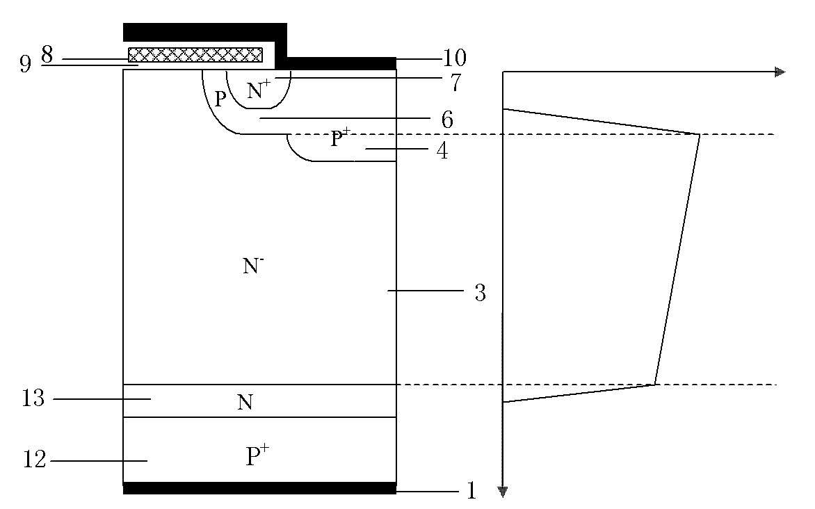 IGBT with current carrier storage layer and additional hole passage