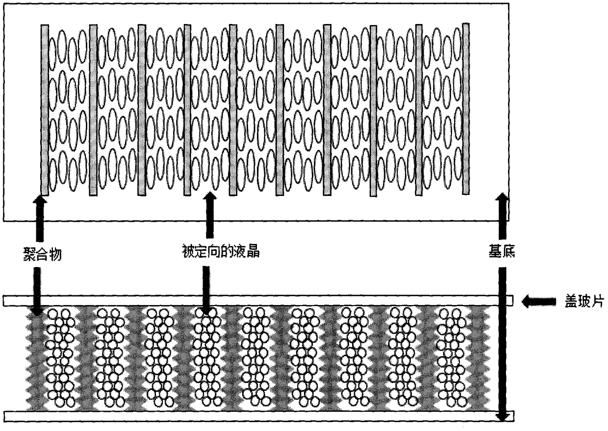 A large area liquid crystal region alignment method based on mask exposure method and system thereof