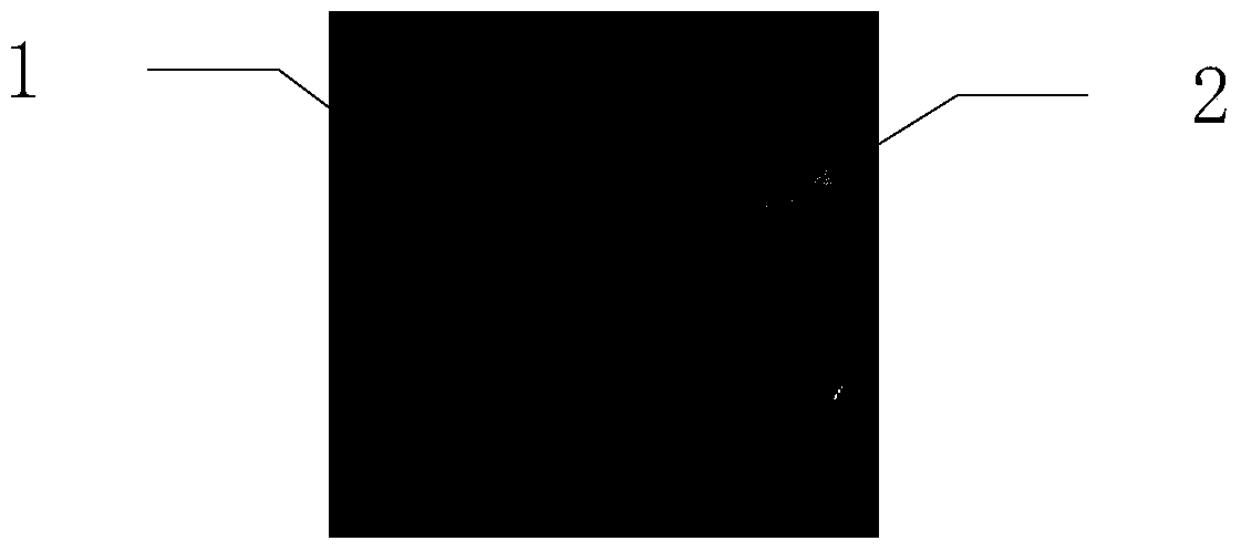 Lotus leaf from the phymeji mushroom strain finc-l6 and its cultivation method and application