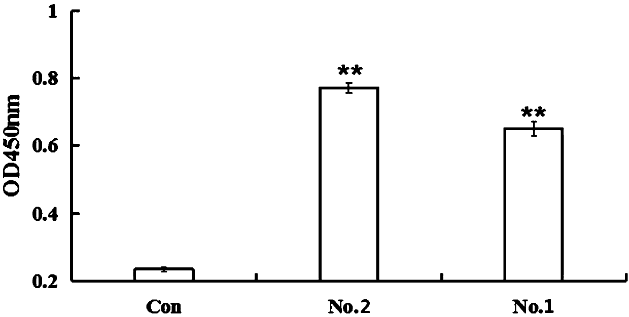 ssDNA aptamer capable of identifying and combining with vibrio alginolyticus and application thereof