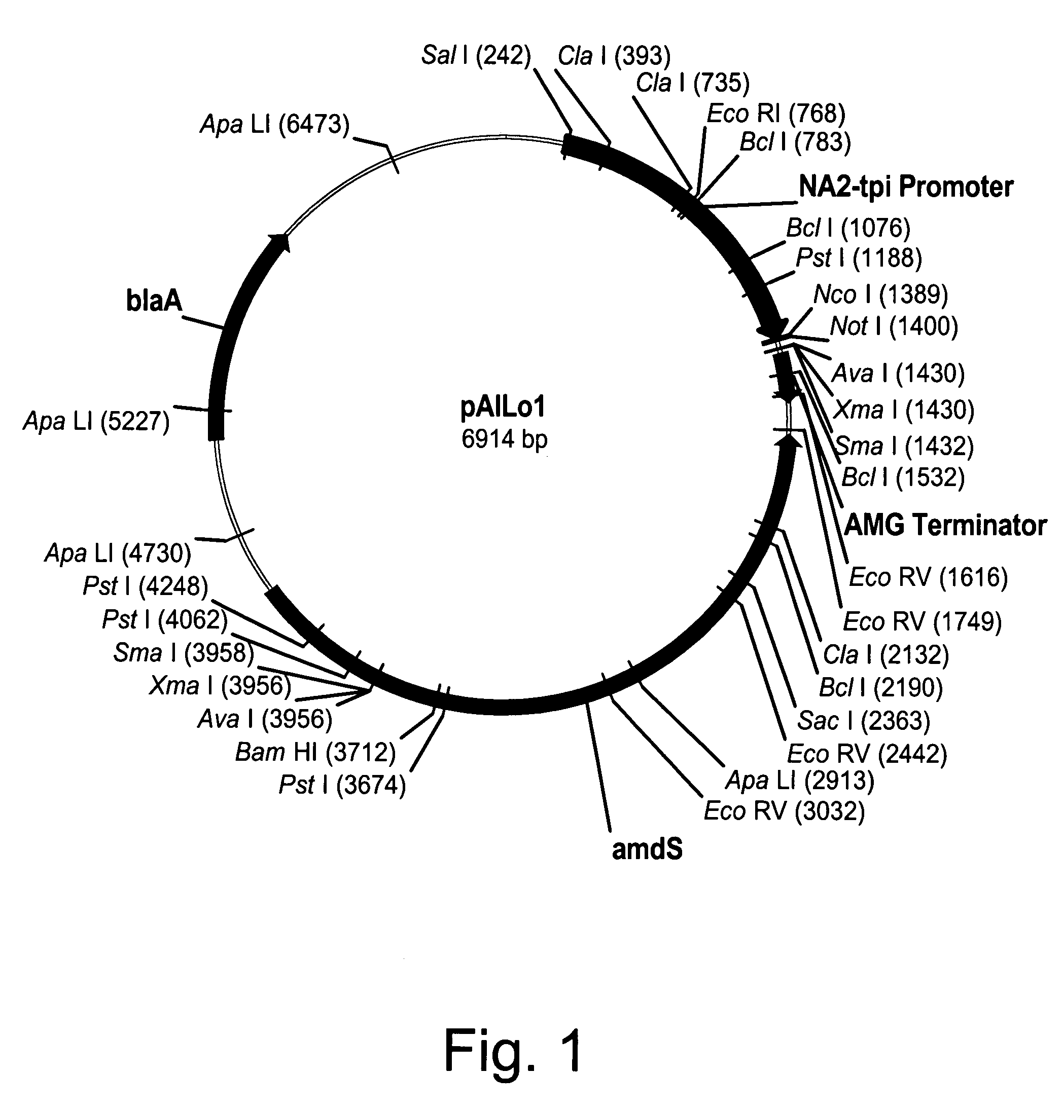 Methods for degrading lignocellulosic materials