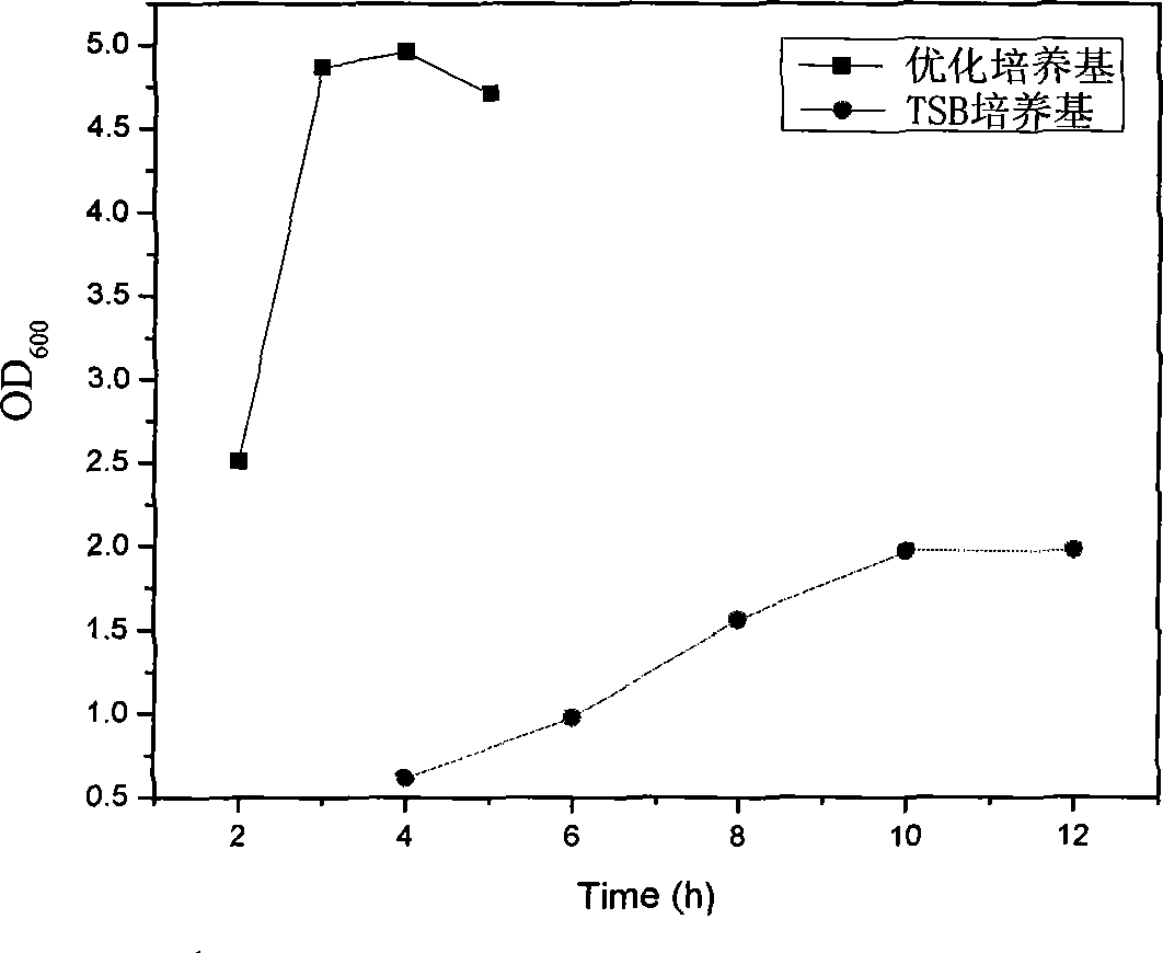 Type 2 streptococcus suis high-intensity fermentation medium and application