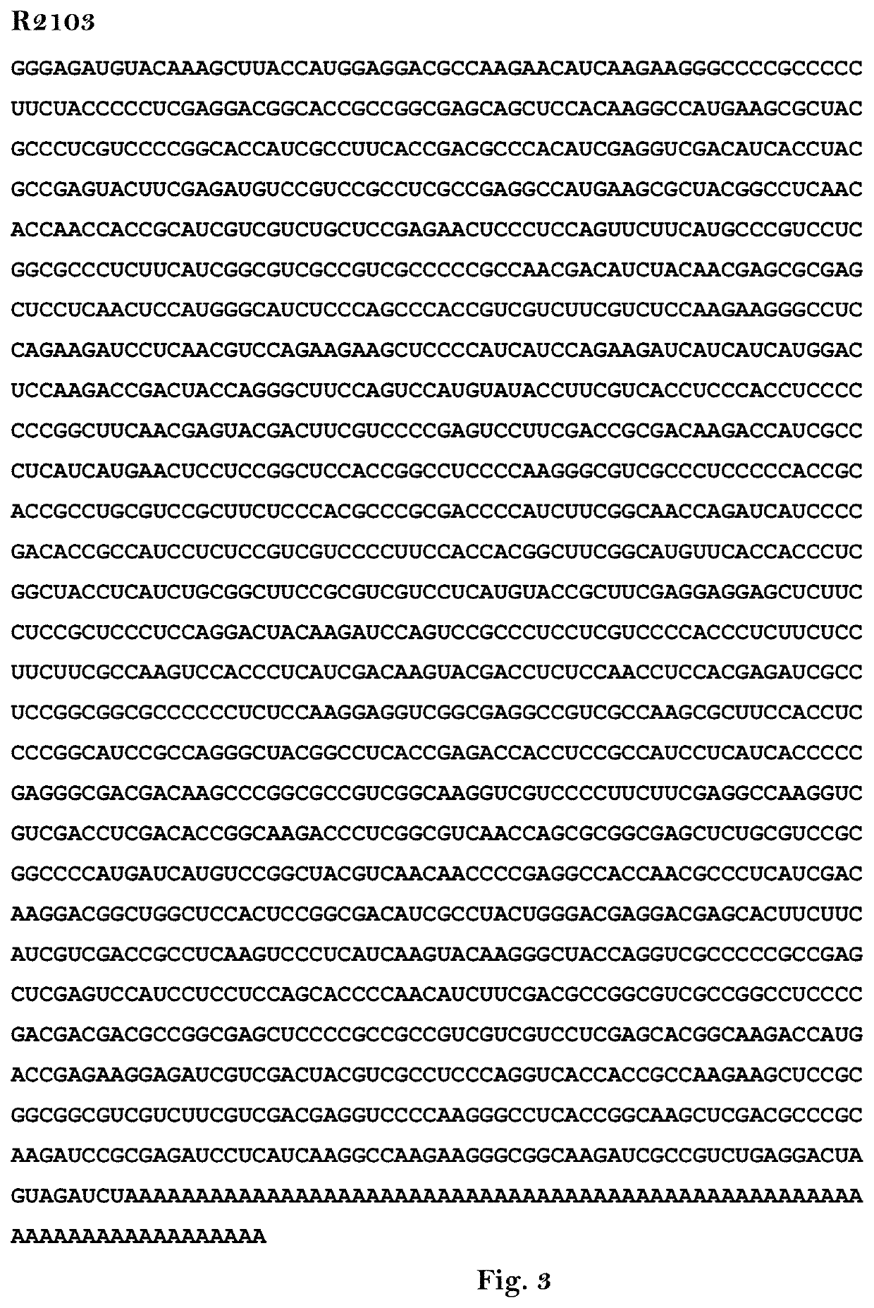 Modified RNA with decreased immunostimulatory properties