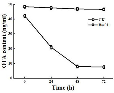 Lactobacillus rhamnosus with ochratoxin A removing effect