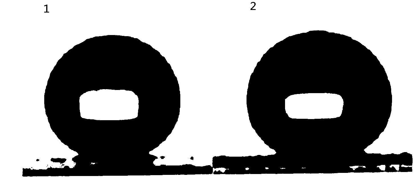 Hydrophobic and oleophobic silica-based translucent coating film and preparation method thereof