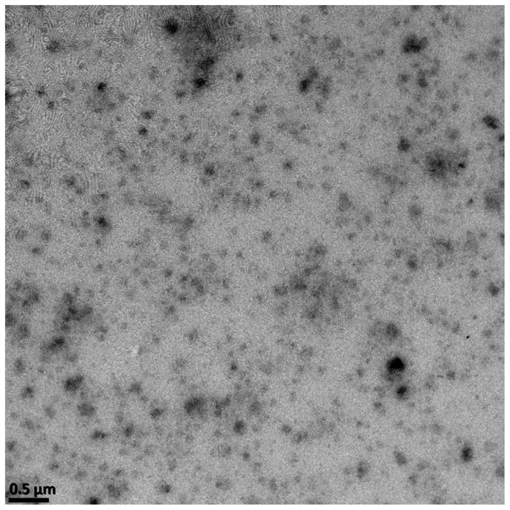 Preparation method for multiple-response type nanodrug based on combined treatment