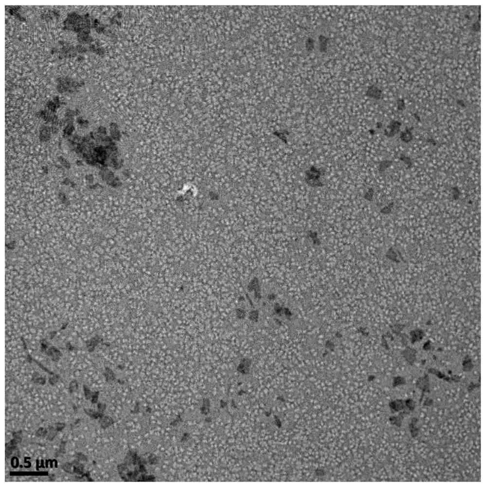 Preparation method for multiple-response type nanodrug based on combined treatment