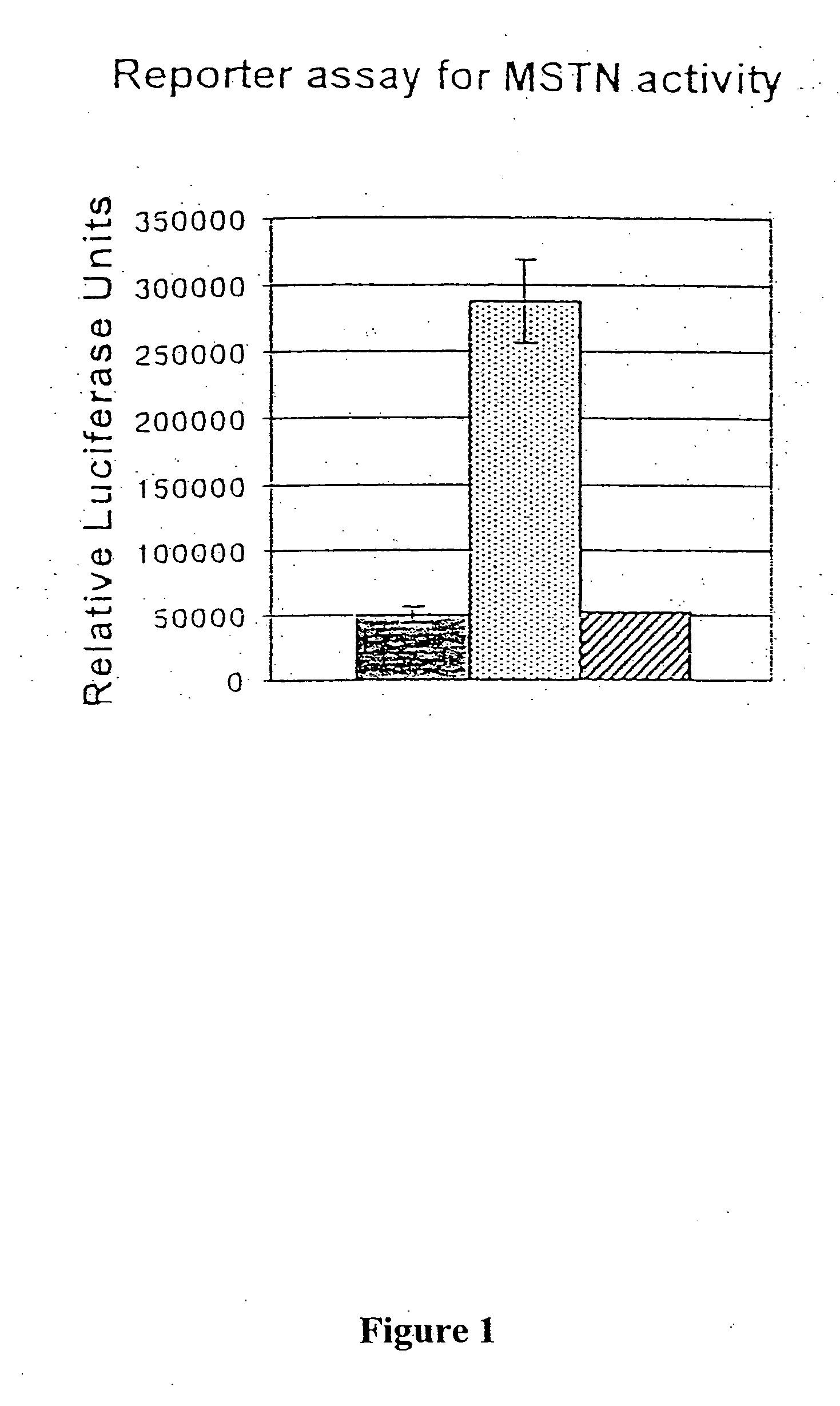 Metalloprotease activation of myostatin, and methods of modulating myostatin activity