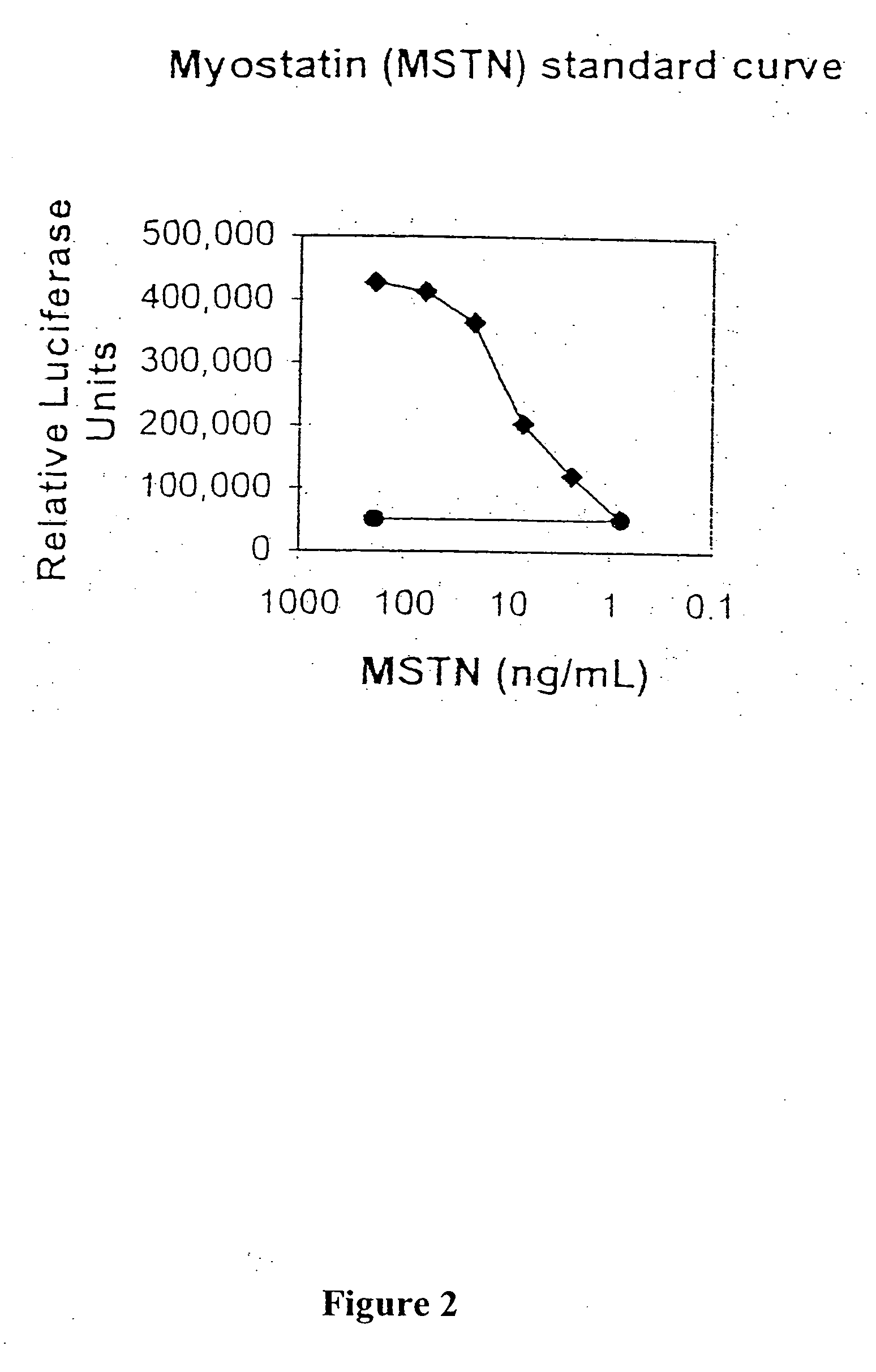 Metalloprotease activation of myostatin, and methods of modulating myostatin activity