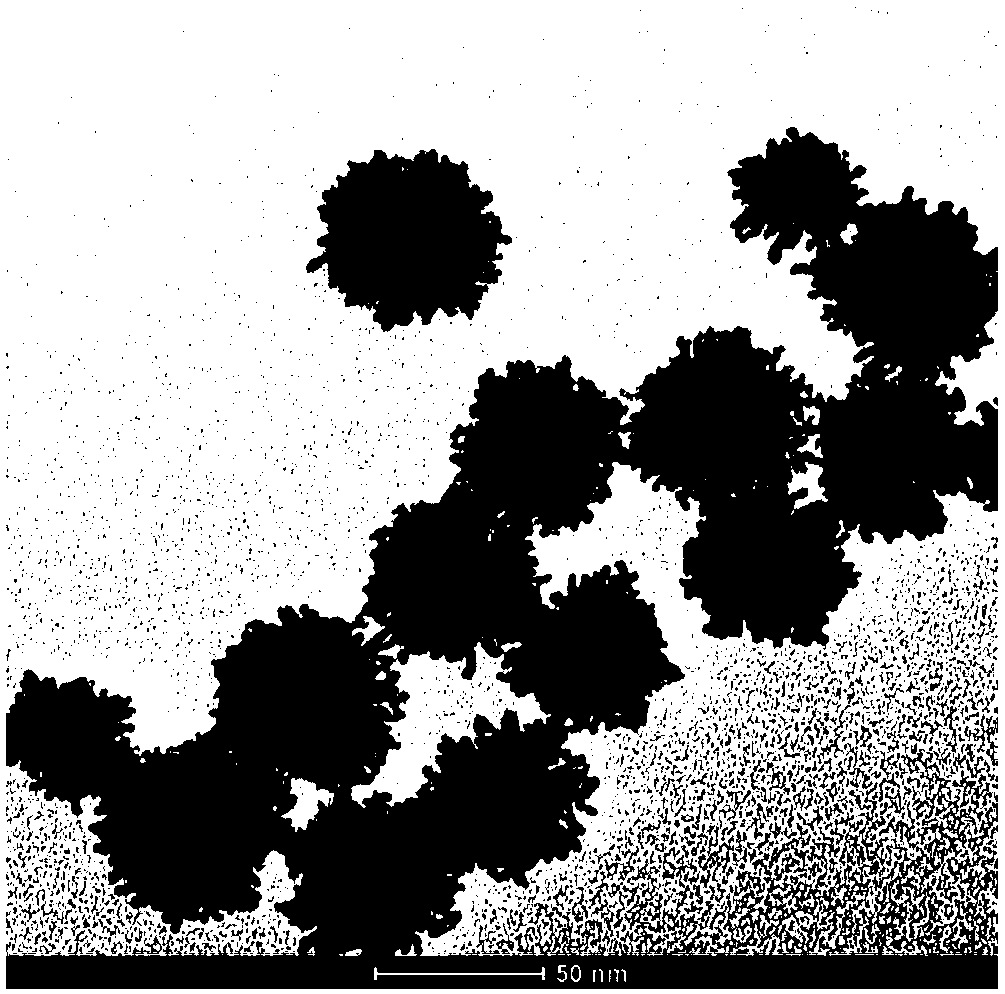 Histamine immunoassay method based on characteristics of platinum-gold bimetallic nano-particle peroxidase