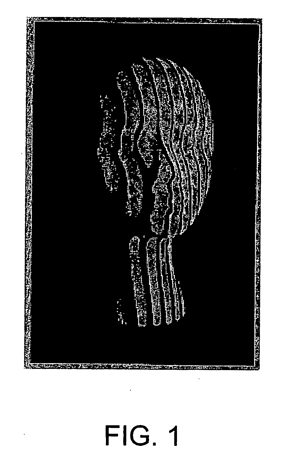 Non-contact apparatus and method for measuring surface profile