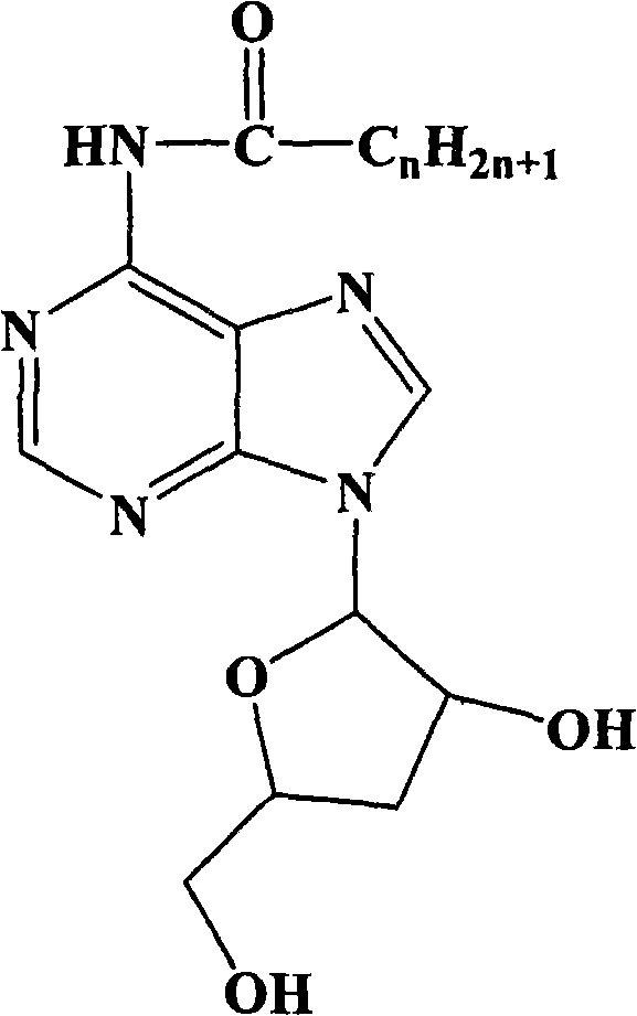 New process for synthesizing N-alkanoyl cordycepin serving as cordycepin derivative by one-step method