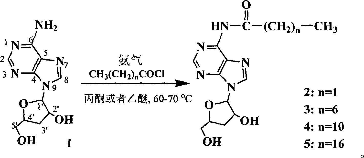 New process for synthesizing N-alkanoyl cordycepin serving as cordycepin derivative by one-step method